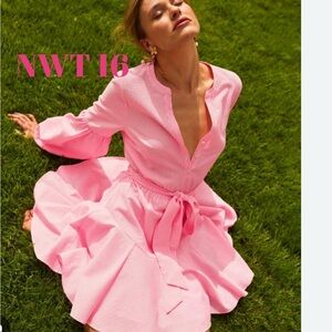 NWT 16 Lilly Pulitzer Carla striped dress in Roxie pink stripe -